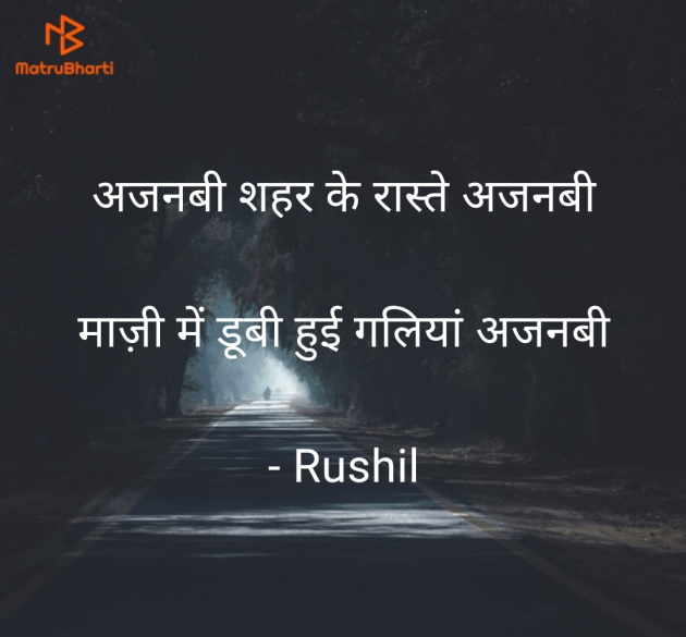 Hindi Shayri by Rushil Dodiya : 111946494