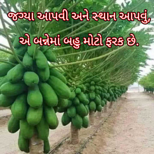 Gujarati Blog by Bhavna Bhatt : 111946874