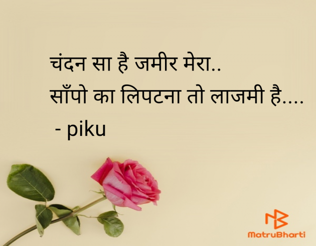 Hindi Shayri by pooja : 111947721