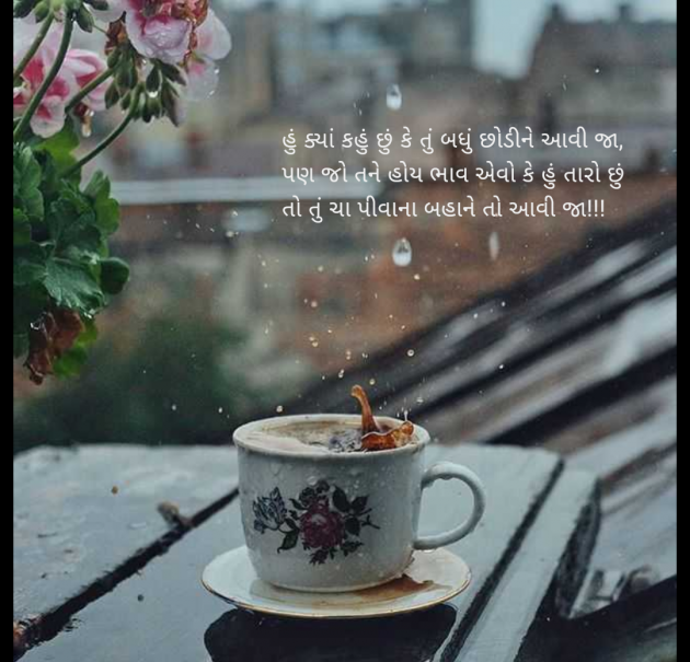 Gujarati Shayri by Mr Jay Gadhadara : 111948558