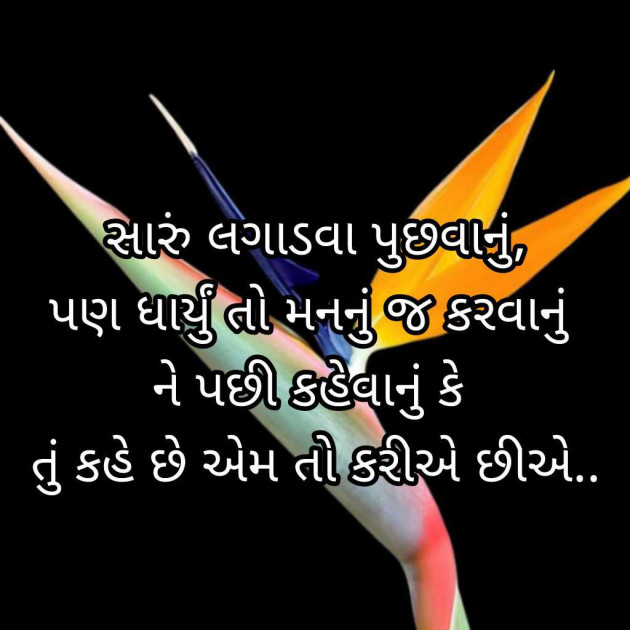 Gujarati Blog by Bhavna Bhatt : 111948585