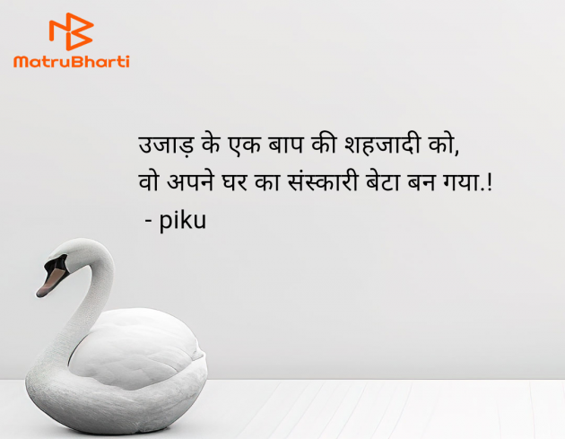 Hindi Shayri by piku : 111949213