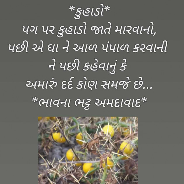 Gujarati Blog by Bhavna Bhatt : 111949225