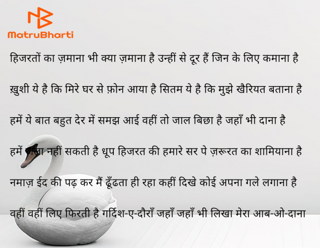 Hindi Blog by puja : 111950903