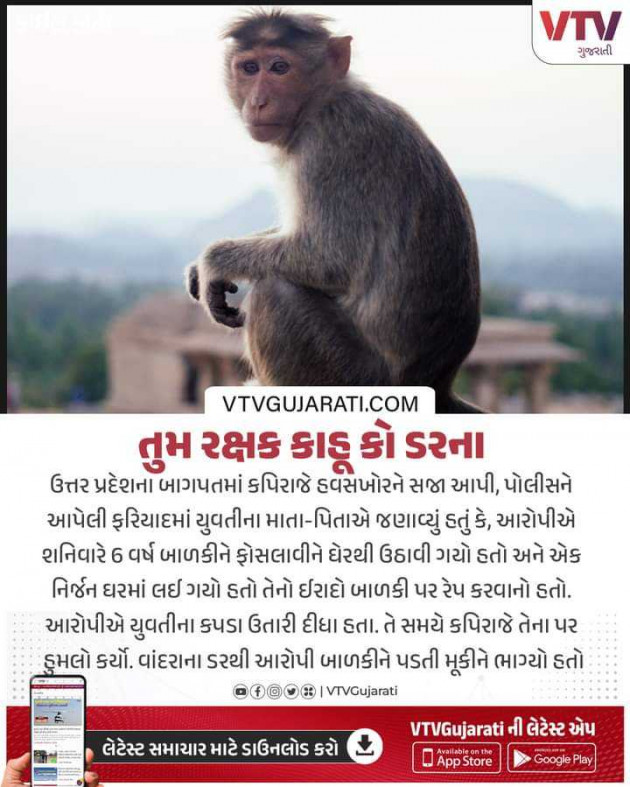 Gujarati Thought by Parmar Mayur : 111951614