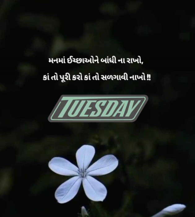 Gujarati Shayri by CHIRAG : 111951710