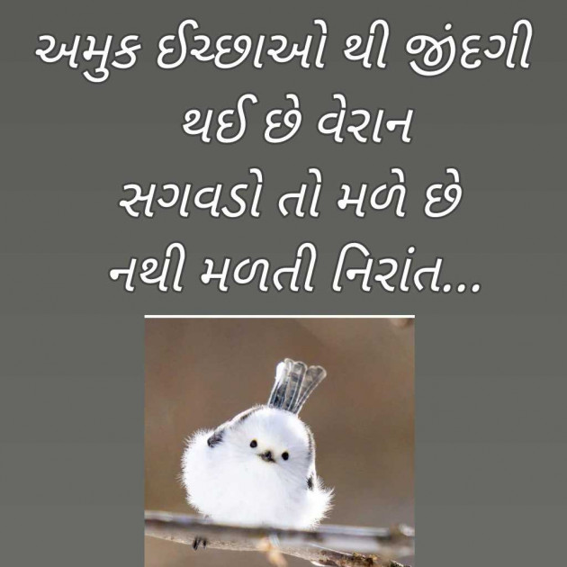 Gujarati Blog by Bhavna Bhatt : 111951810