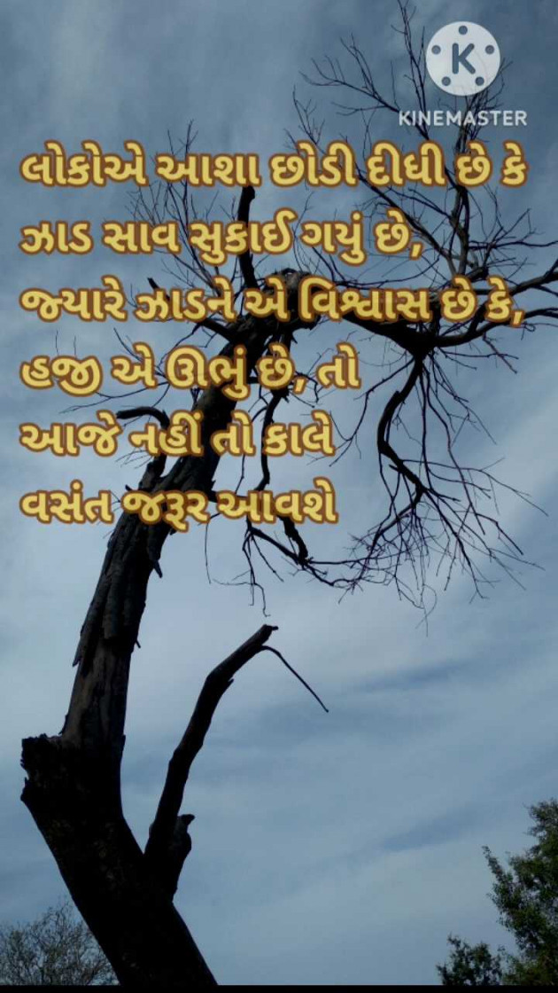 Gujarati Motivational by Shailesh Joshi : 111952090