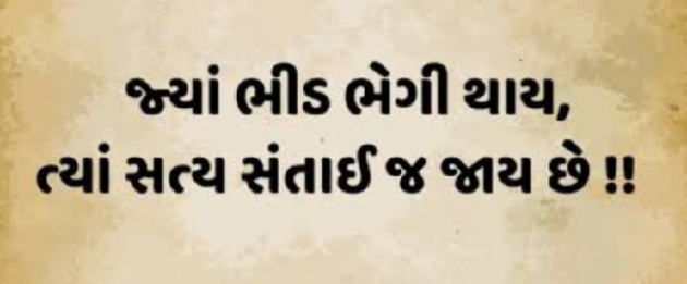 Gujarati Microfiction by Gautam Patel : 111952395