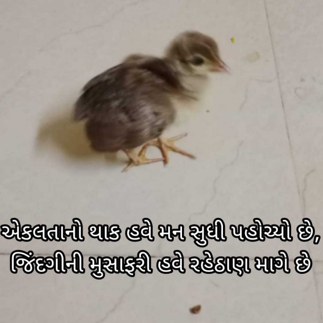 Gujarati Blog by Bhavna Bhatt : 111952697