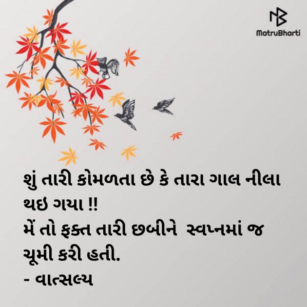 Gujarati Shayri by वात्सल्य : 111955225