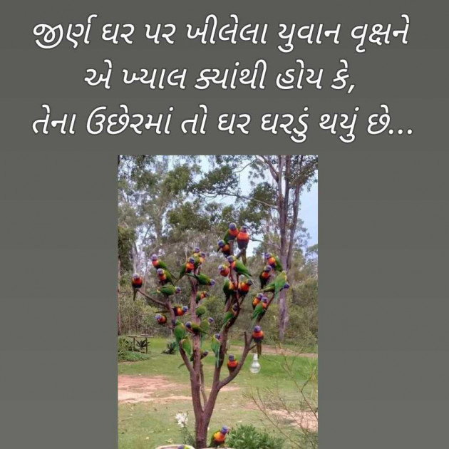 Gujarati Blog by Bhavna Bhatt : 111955383