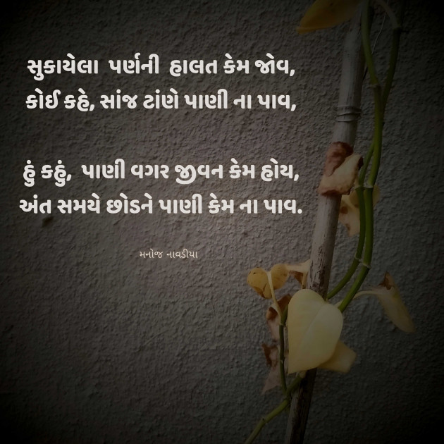 Gujarati Motivational by મનોજ નાવડીયા : 111955749