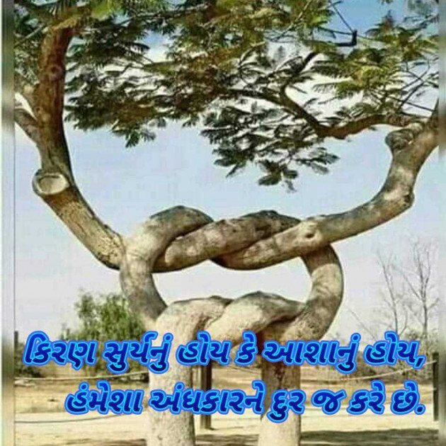 Gujarati Blog by Bhavna Bhatt : 111955879