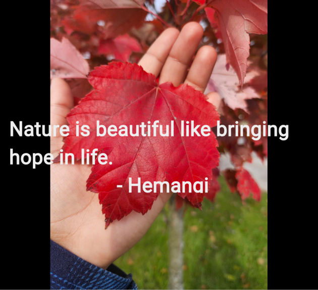 English Quotes by Hemangi : 111956272