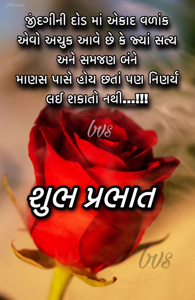 Gujarati Whatsapp-Status by shah : 111956937