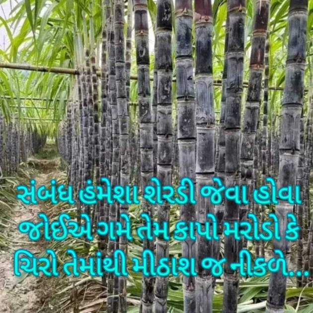 Gujarati Blog by Bhavna Bhatt : 111957011