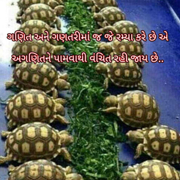 Gujarati Blog by Bhavna Bhatt : 111957109