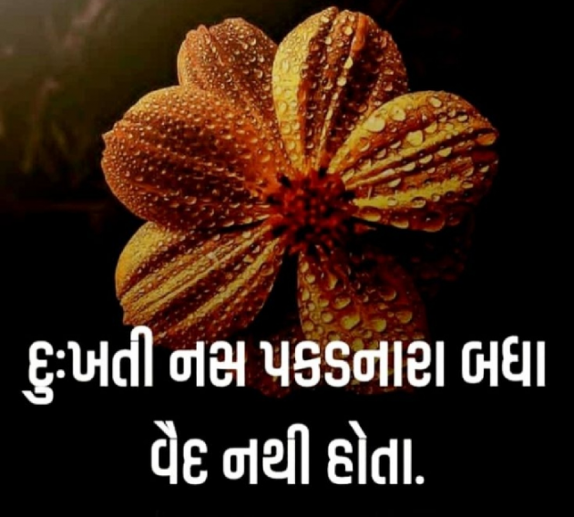 Gujarati Whatsapp-Status by Gautam Patel : 111957420