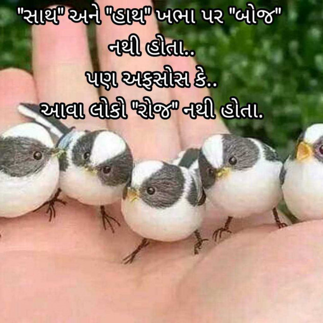 Gujarati Blog by Bhavna Bhatt : 111957534