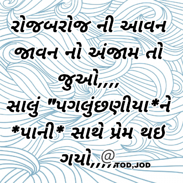 Gujarati Shayri by Abbas khan : 111957905