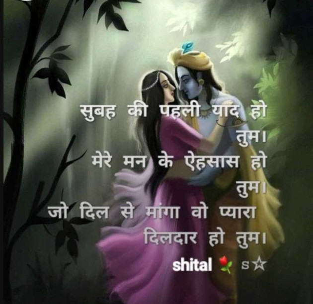 Gujarati Shayri by Shital : 111959011