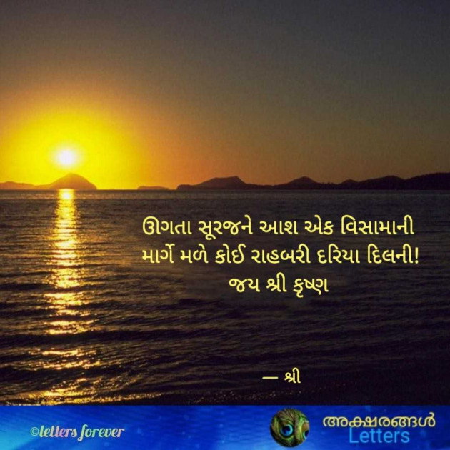 Gujarati Whatsapp-Status by Gor Dimpal Manish : 111959358