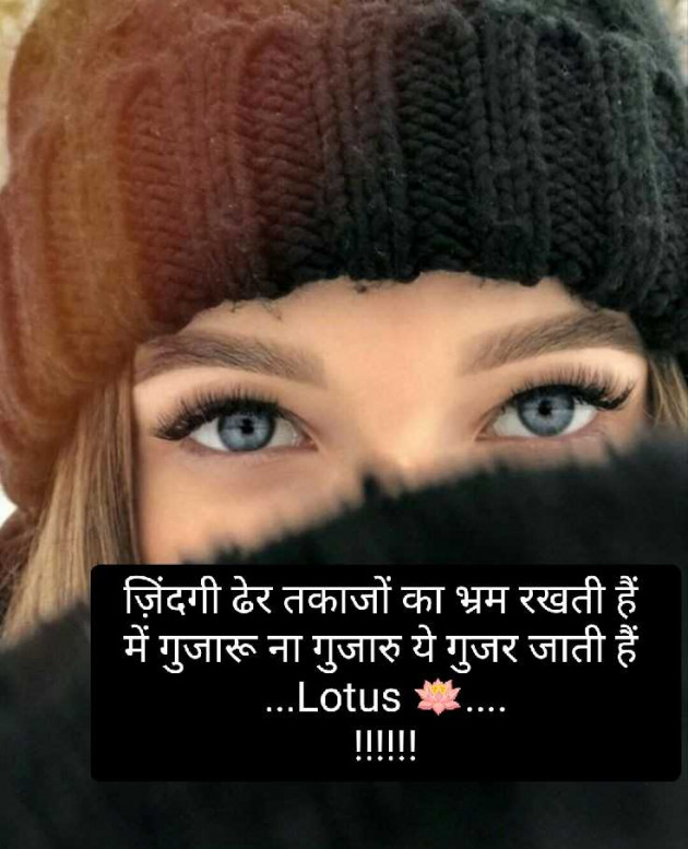 English Quotes by lotus : 111959369