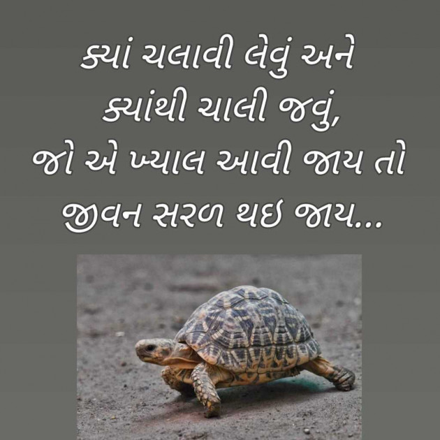 Gujarati Blog by Bhavna Bhatt : 111959378