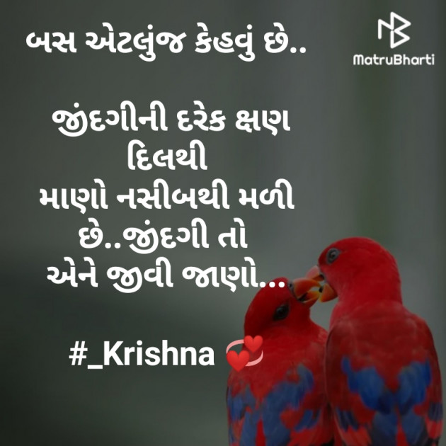 Gujarati Shayri by Krishna Rajput : 111959454