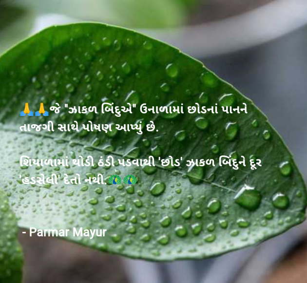 Gujarati Good Morning by Parmar Mayur : 111959456