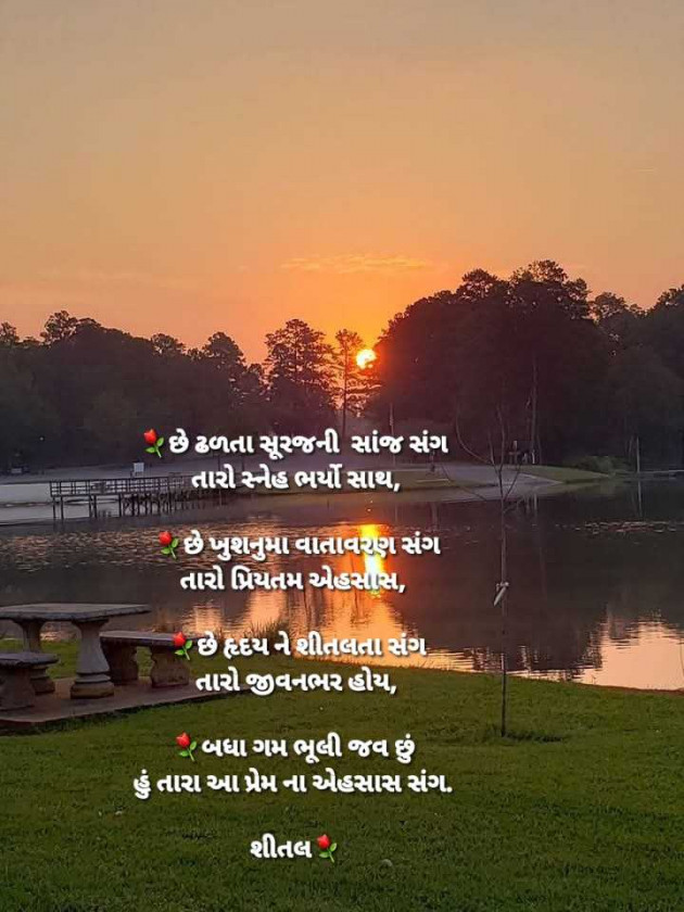 Gujarati Shayri by Shital : 111959533