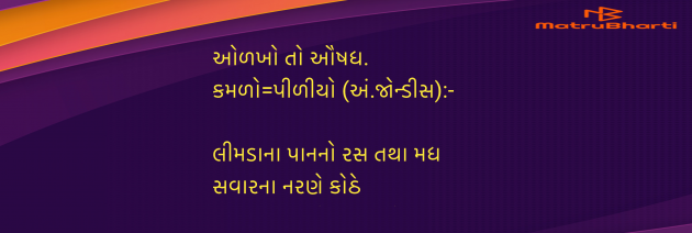 Gujarati Blog by Umakant : 111959551