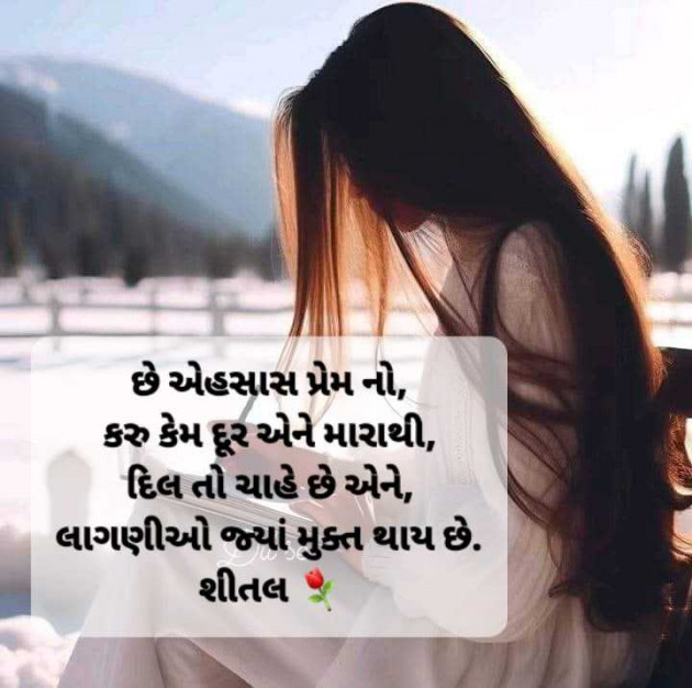 Gujarati Shayri by Shital : 111959561