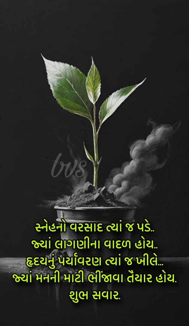 Gujarati Whatsapp-Status by shah : 111959593