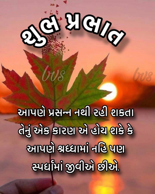 Gujarati Whatsapp-Status by shah : 111959594