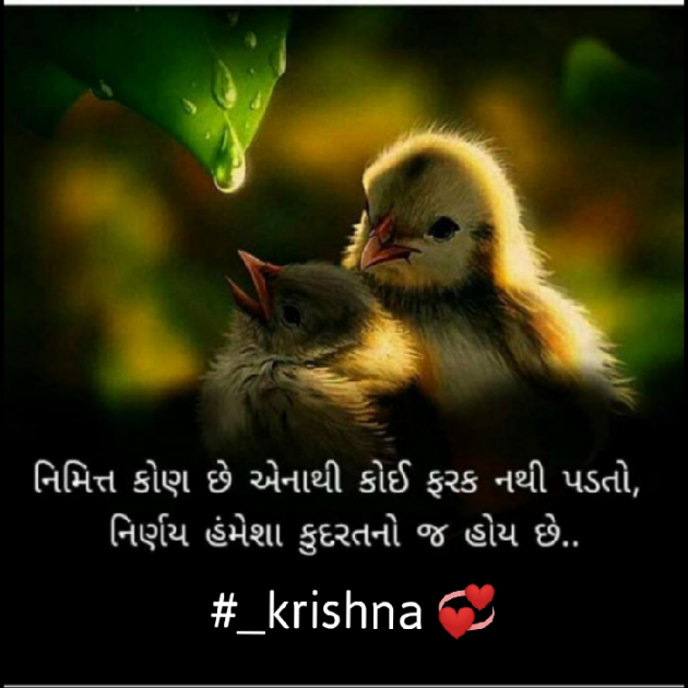 Gujarati Blog by Krishna Rajput : 111959834