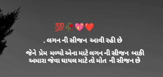 English Quotes by Alfaz A Shyari : 111959877