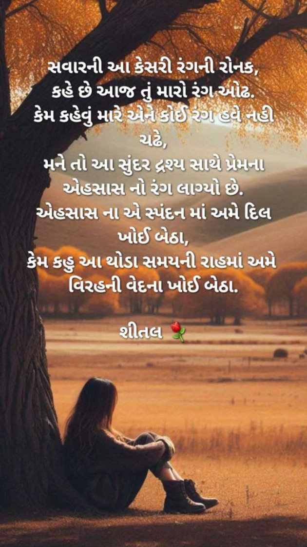 Gujarati Shayri by Shital : 111960218