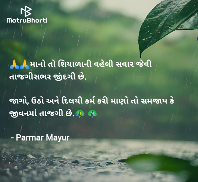 Gujarati Good Morning by Parmar Mayur : 111960364