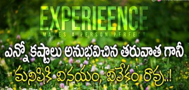 English Motivational by Yamini : 111960608