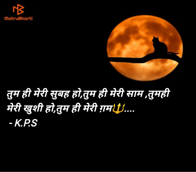 Hindi Blog by K.P.S : 111960802