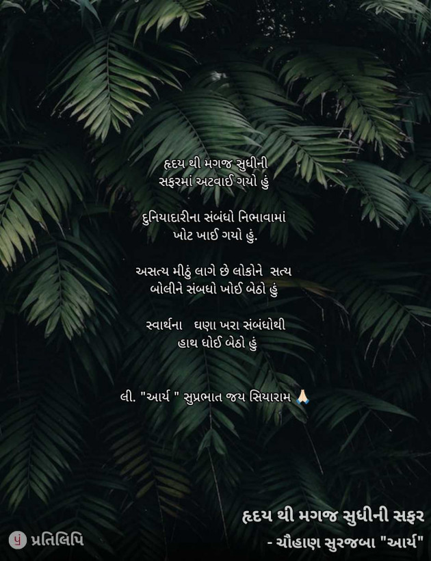 Gujarati Blog by સુરજબા ચૌહાણ આર્ય : 111961211