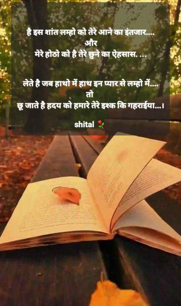 Gujarati Shayri by Shital : 111961478