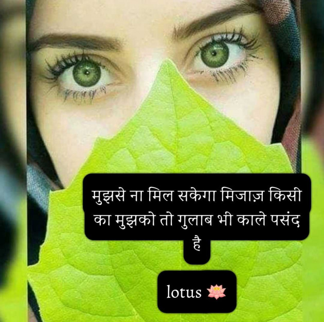 English Quotes by LOTUS : 111961728