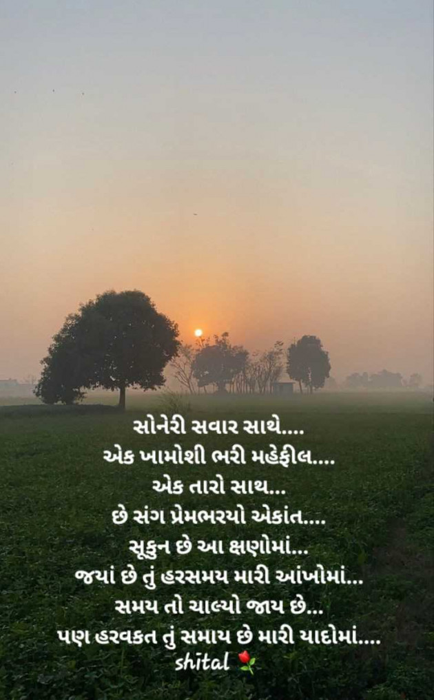 Gujarati Shayri by Shital : 111961843