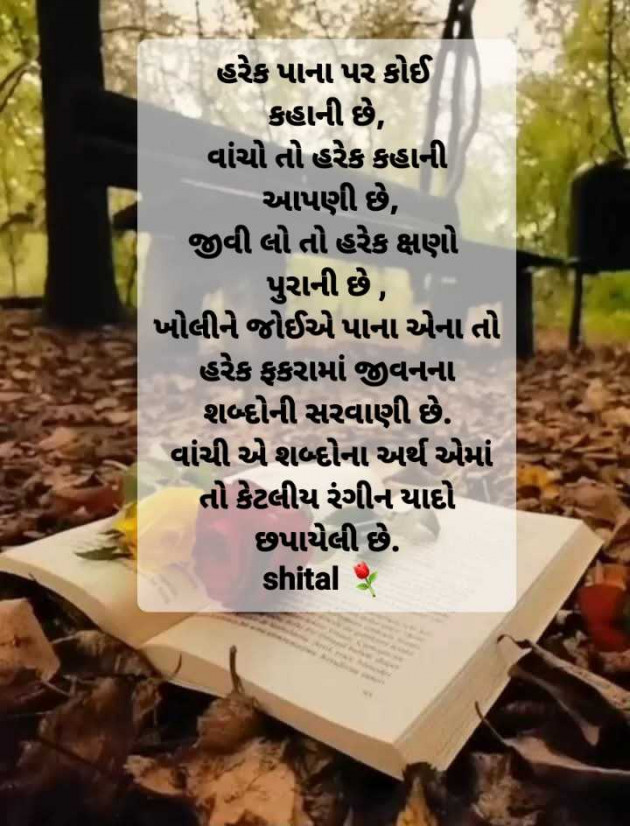 Gujarati Shayri by Shital : 111962142