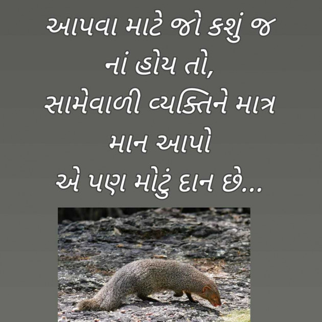 Gujarati Blog by Bhavna Bhatt : 111962355