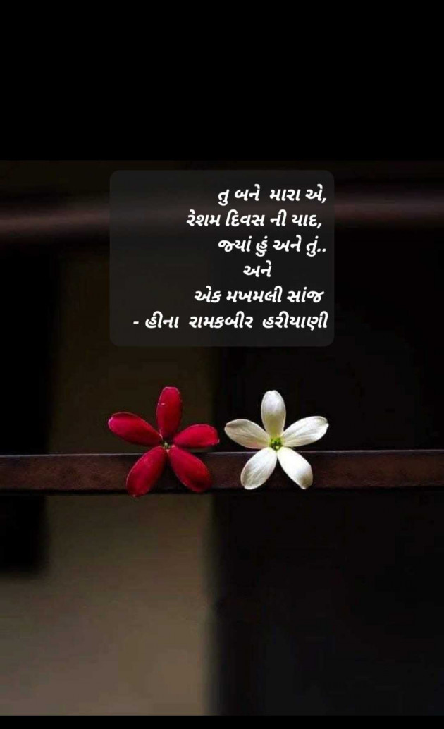 Gujarati Thought by Heena Hariyani : 111962398