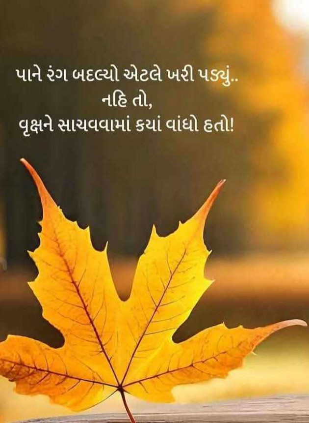 Gujarati Thought by Dipika : 111962567